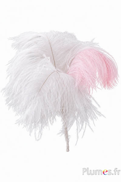 Federbusch Strauß - 4 Federn, Höhe 20-24 cm - creme-rosa
